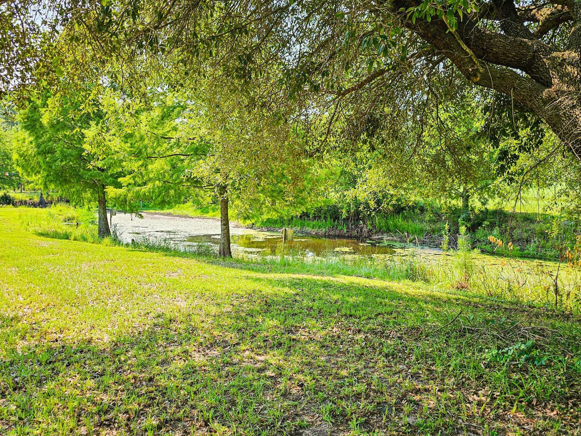 164 Haymakers Lane Photo 13