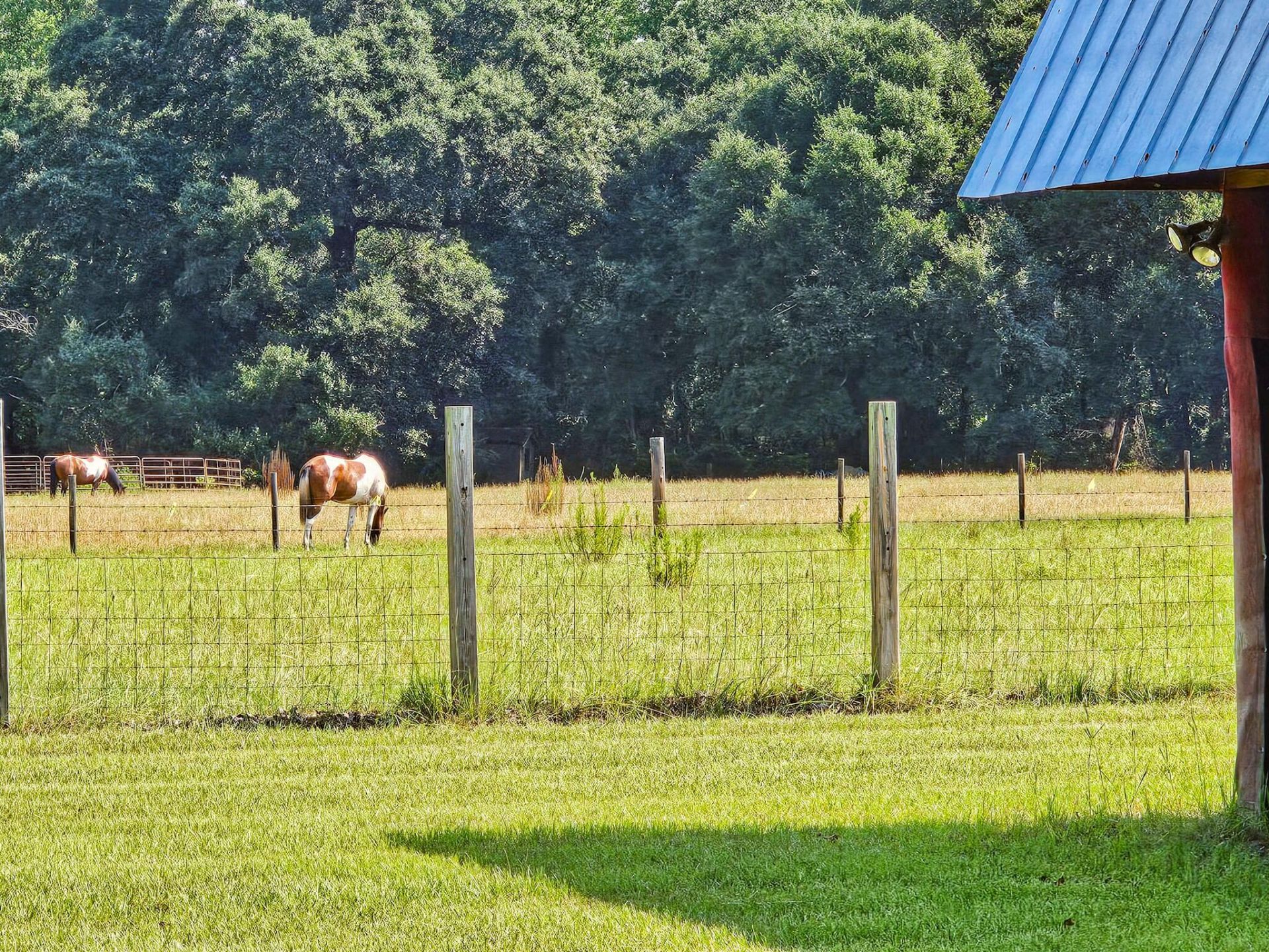 164 Haymakers Lane Photo 14