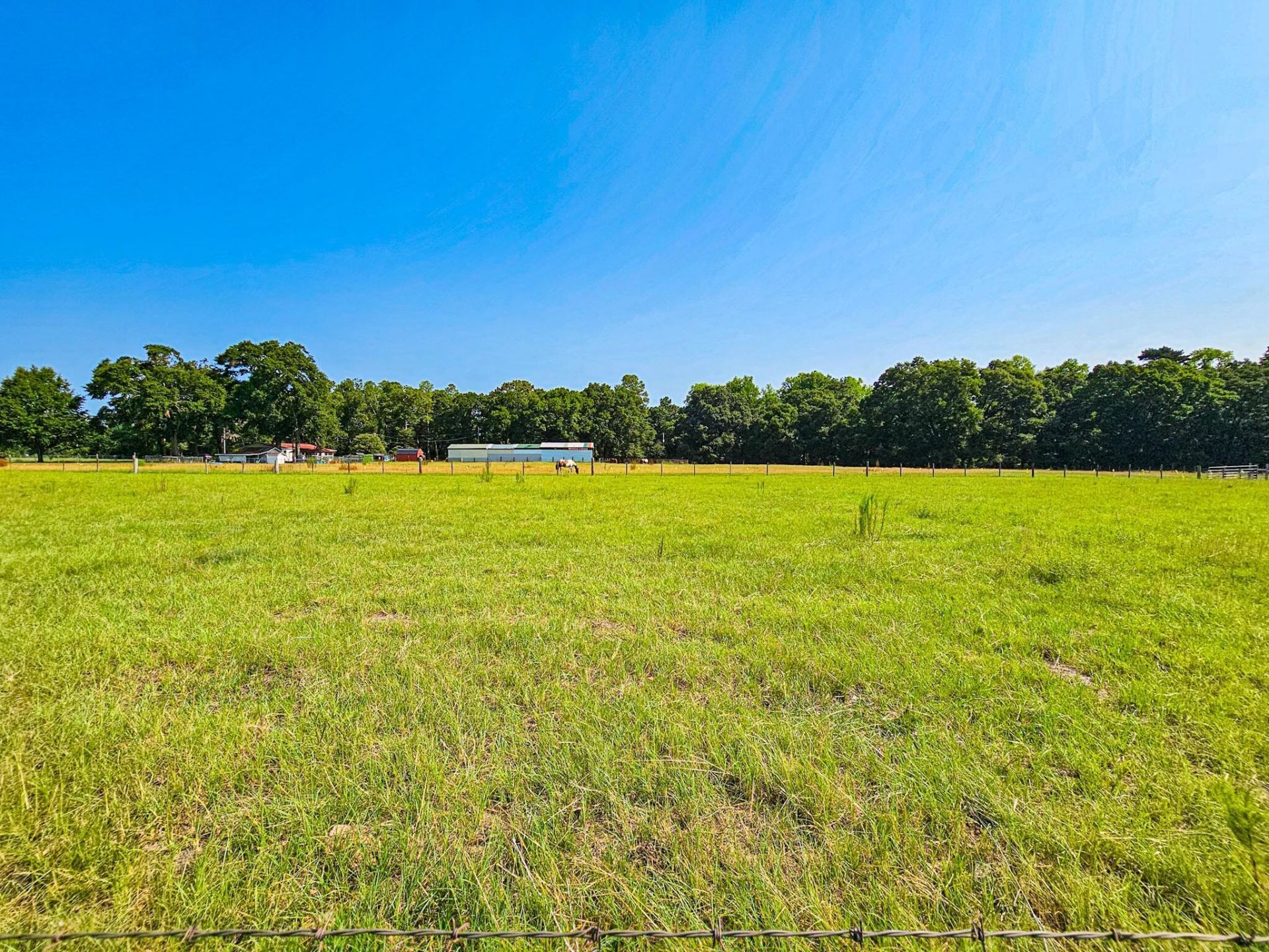 164 Haymakers Lane Photo 17
