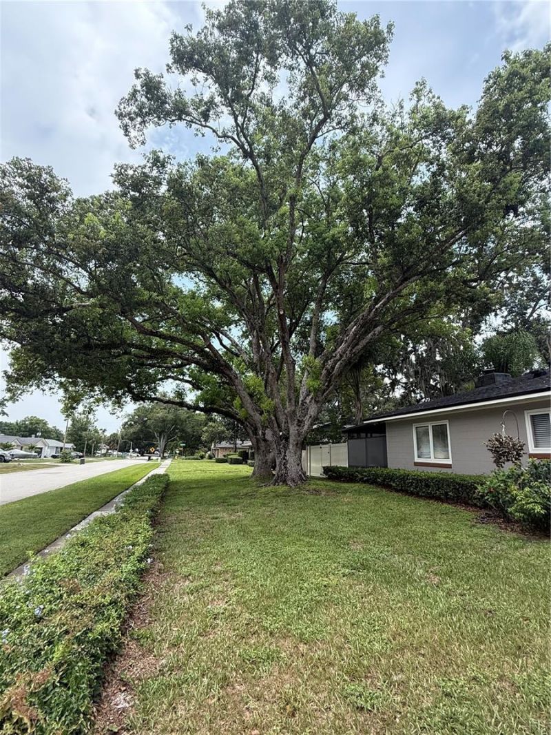1903 Collier Drive, Fern Park, FL 32730 Photo