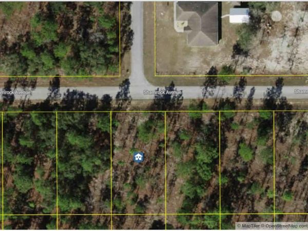 Lot 9 NW SHAMROCK AVENUE , DUNNELLON, FL 34431