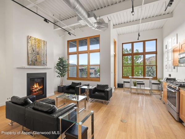 231 Robinson Street, Unit 218, Basalt, CO 81621