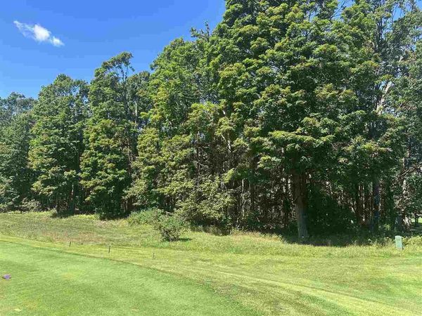 863 Aronimink Drive, Harbor Springs, MI 49740