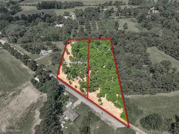 01 Percy Burns Road , Springhill, LA 71075