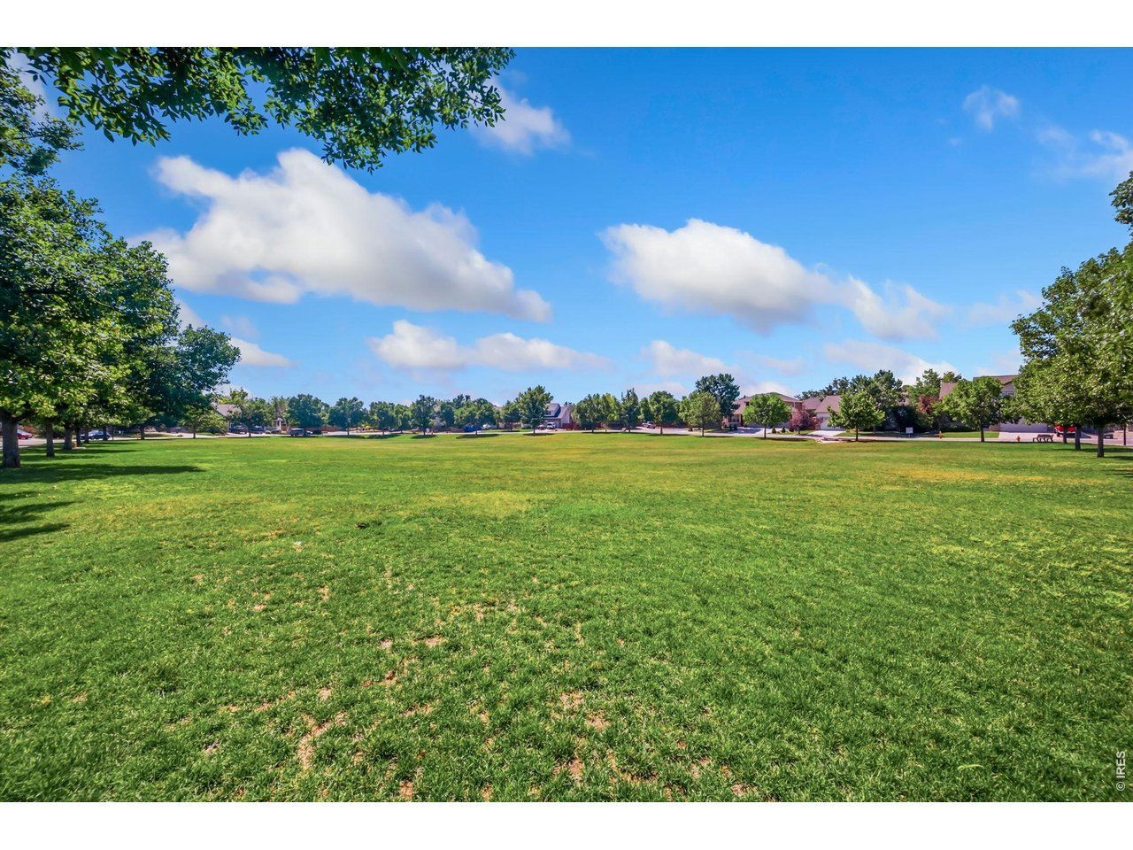 1565 Bengal Ave, Loveland, CO 80537 Main Photo