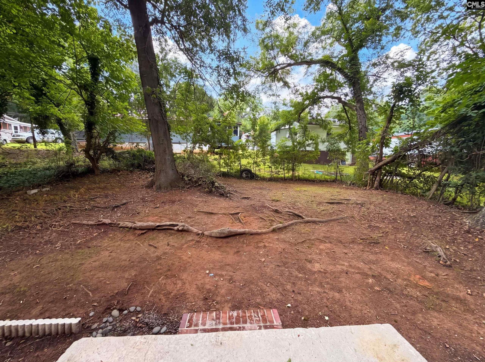 511 Manigault Street  Photo 13