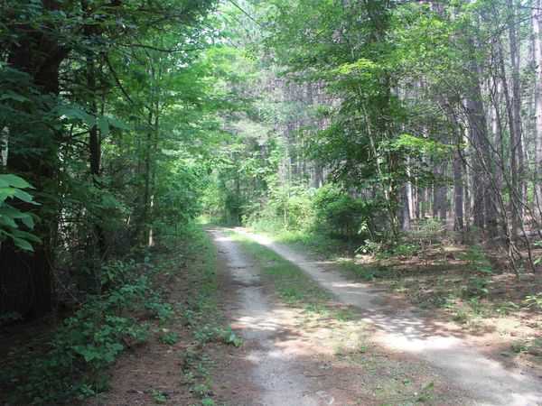Whitefish Trail, Kewadin, MI 49648