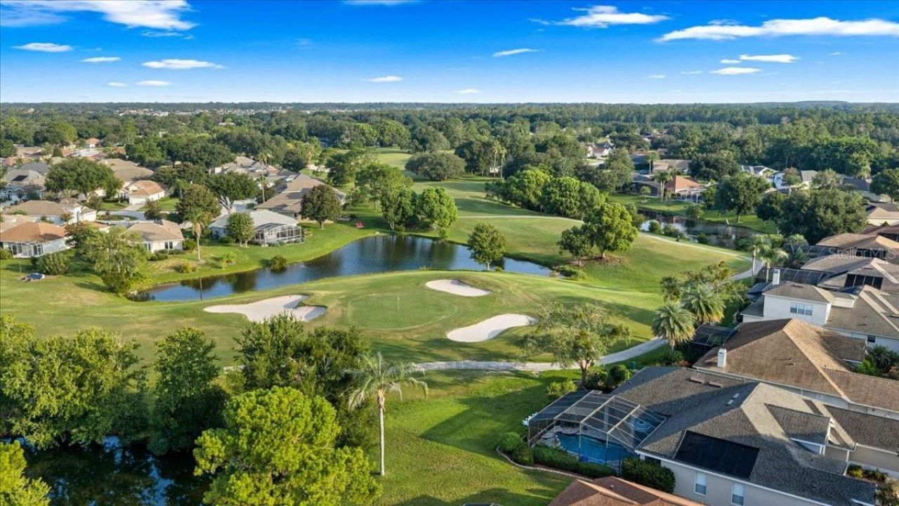 9095 Laurel Ridge Drive , Mount Dora, FL 32757 Photo