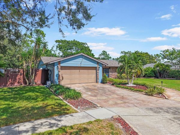 15911 IRONWARE PLACE , TAMPA, FL 33624