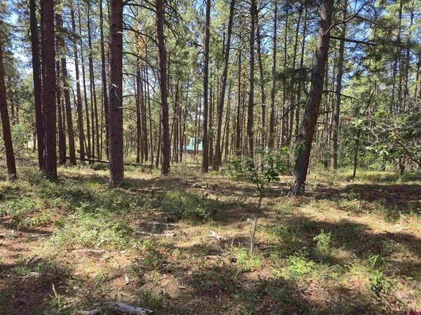 256 and 194 Blue Ridge Drive, Bayfield, CO 81122
