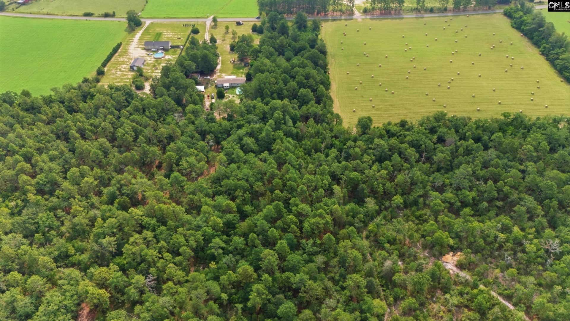3164 Neely Wingard Road  Photo 15