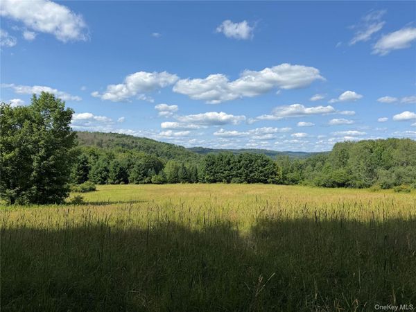 Bert Medlar Road , Hancock, NY 13783
