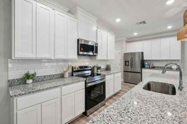25875 Shawnee Street , Mount Plymouth, FL 32776 Photo