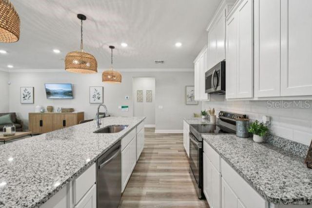 25875 Shawnee Street , Mount Plymouth, FL 32776 Photo