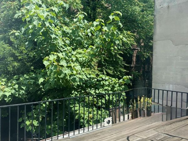 387 E 152nd Street , Unit 2nd floor, Bronx, NY 10455