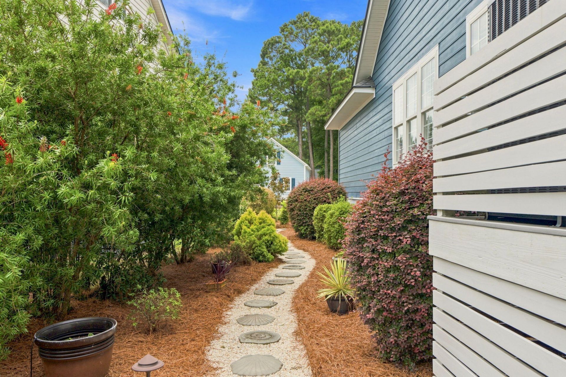 3505 Flowering Oak Way Photo 52