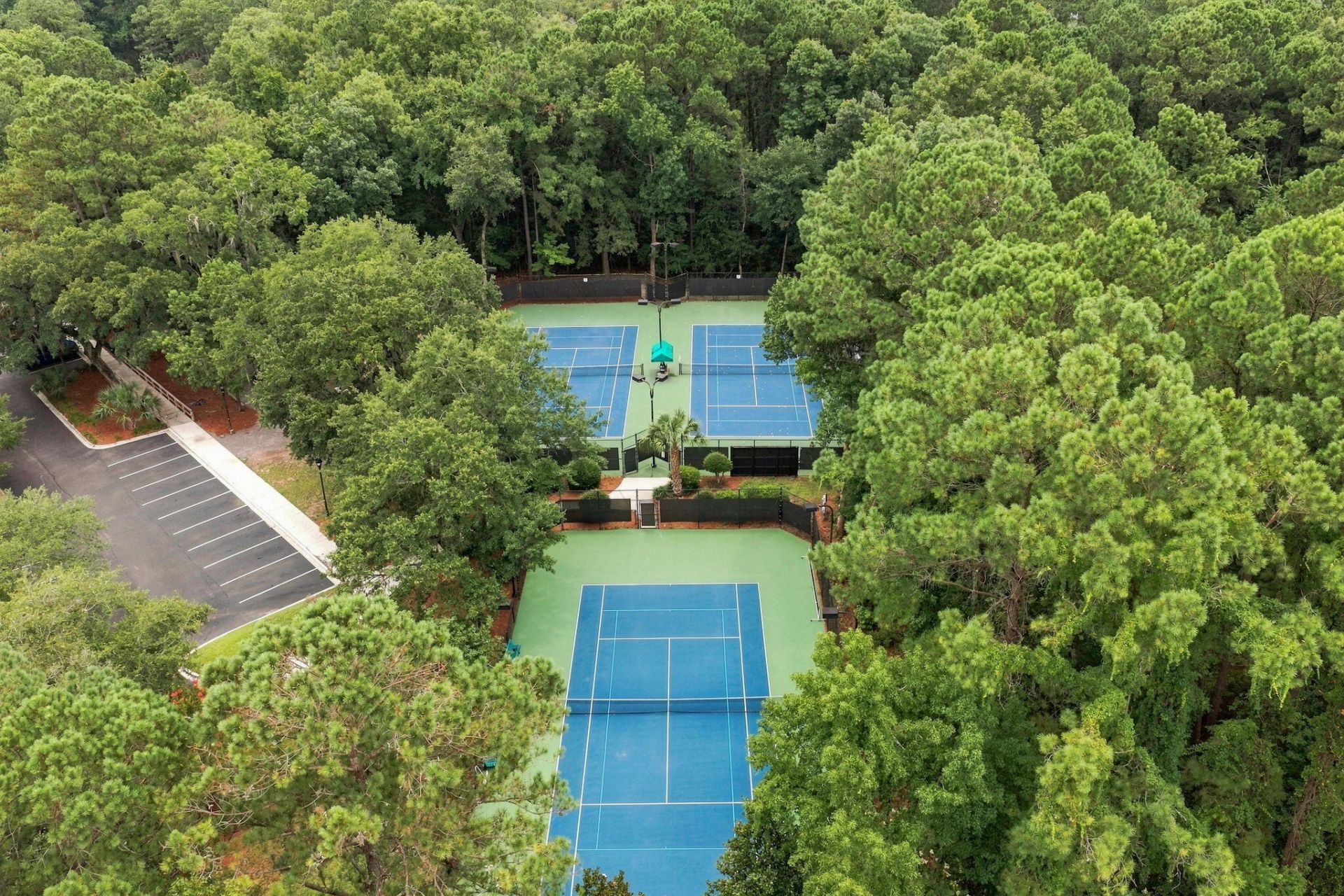 3505 Flowering Oak Way Photo 84