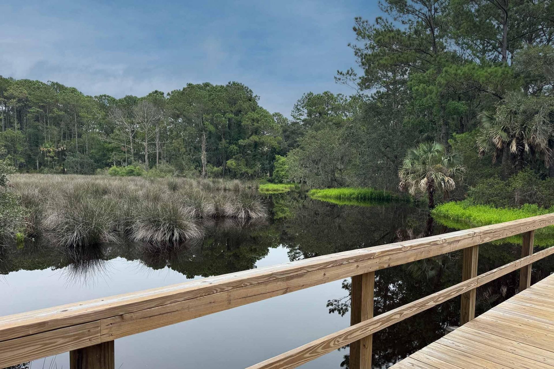 3505 Flowering Oak Way Photo 95