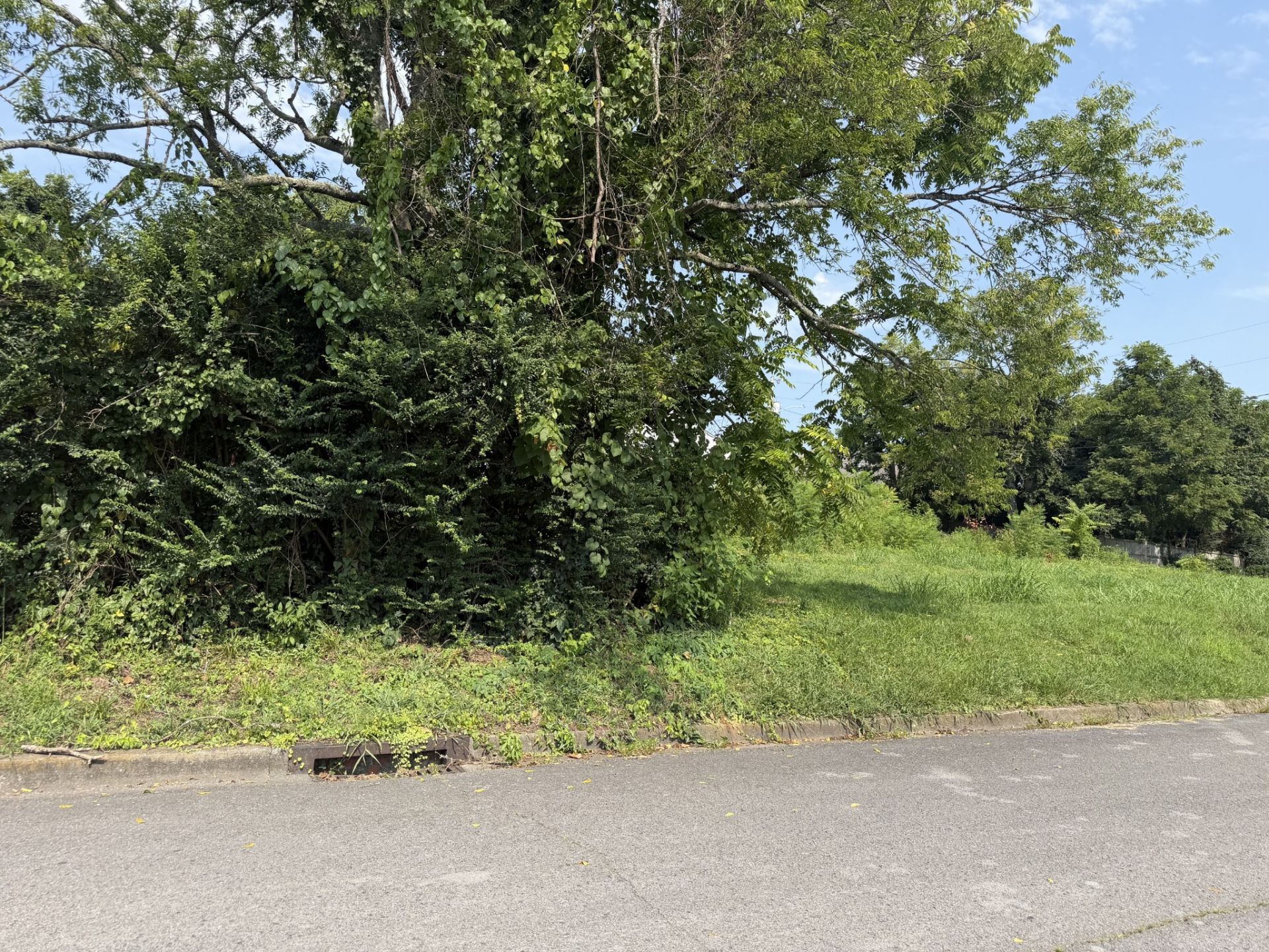 0 Morton St, Shelbyville, TN 37160 Main Photo