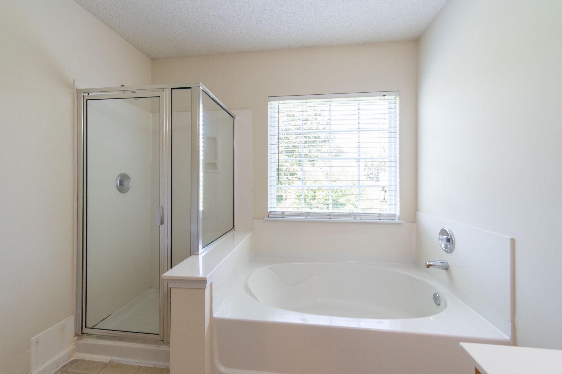 404 Brookfield Lane Photo 9