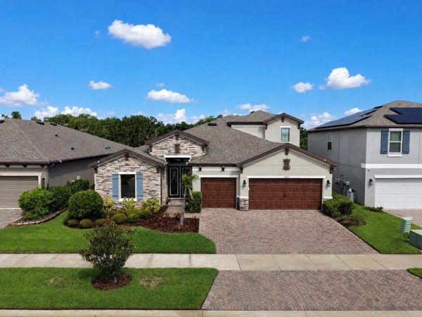 13211 WILDFLOWER MEADOW DRIVE , RIVERVIEW, FL 33579