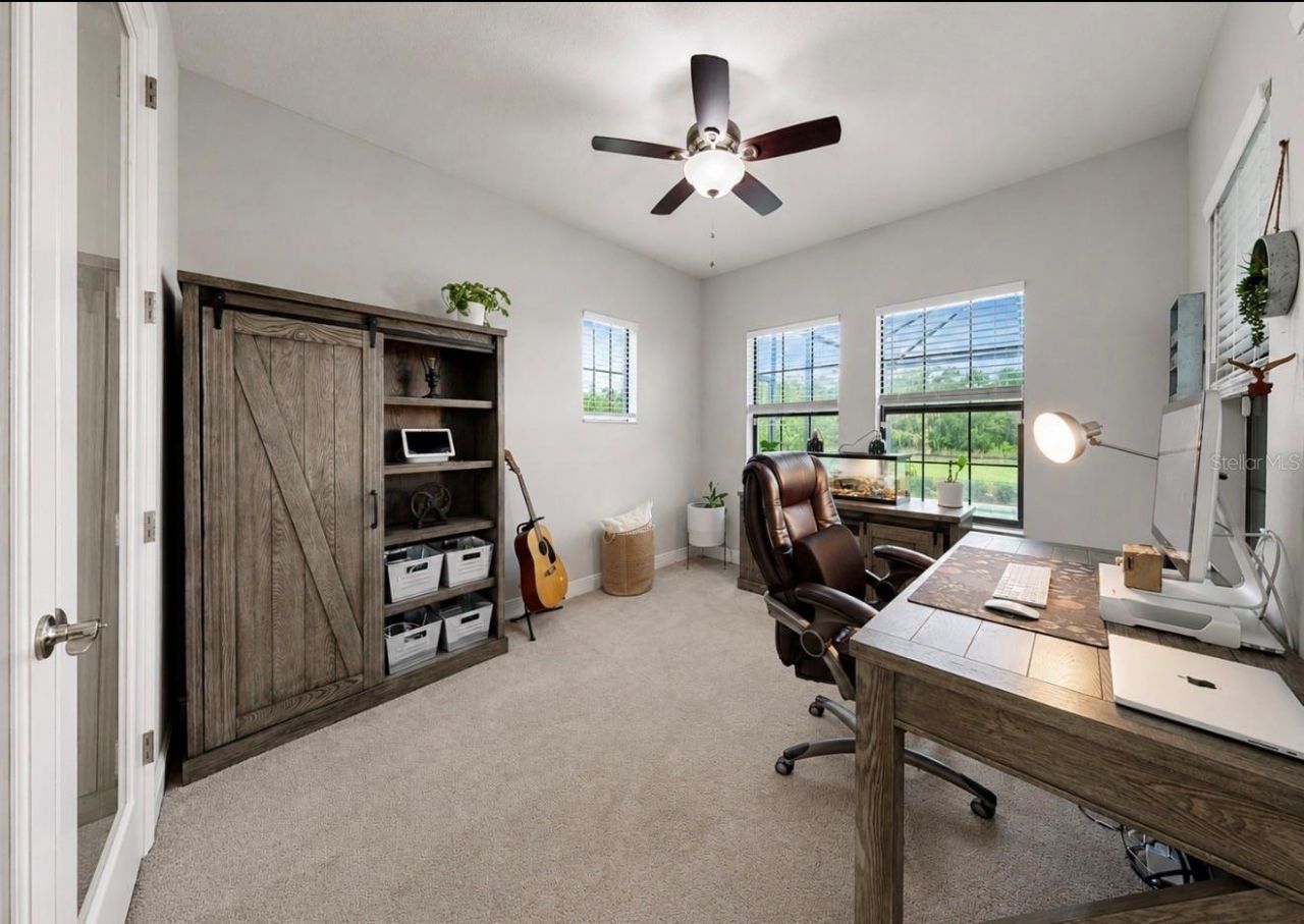 13211 Wildflower Meadow Drive, Riverview, FL 33579 Photo