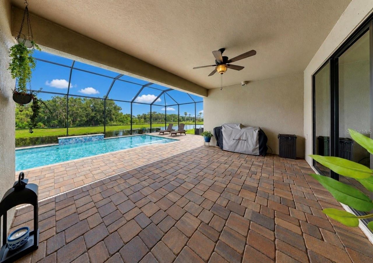 13211 Wildflower Meadow Drive, Riverview, FL 33579 Photo