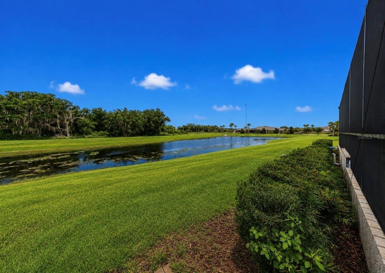 13211 Wildflower Meadow Drive, Riverview, FL 33579 Photo