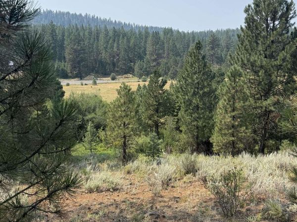 TBD West Pine Drive, New Meadows, ID 83654