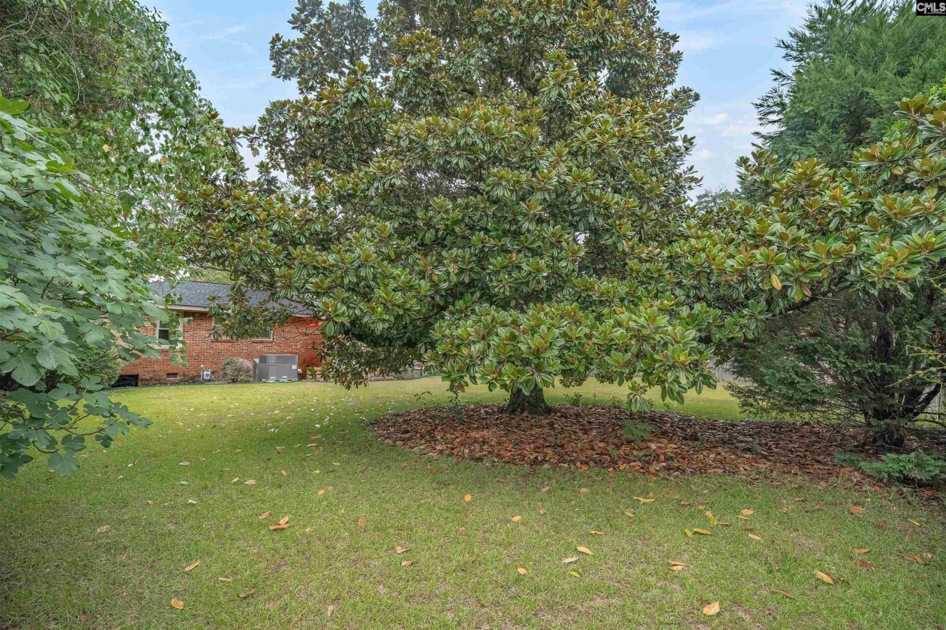 904 Natchez Trail Photo 50