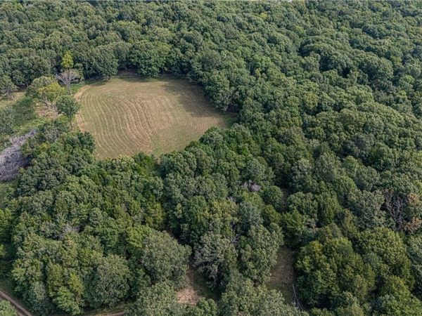 TBD Malico Mountain Road , West Fork, AR 72774