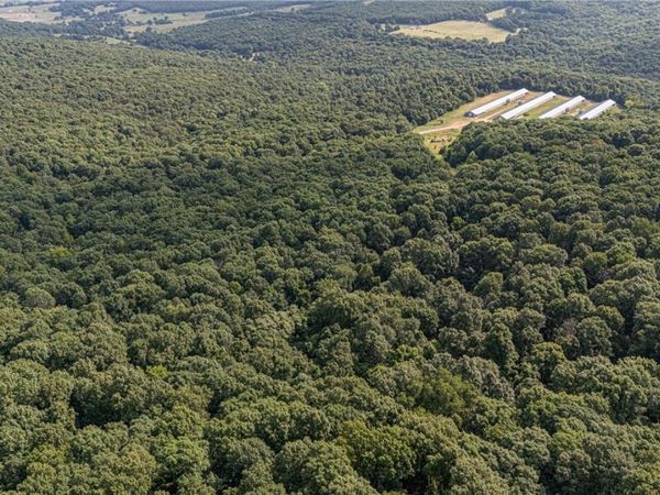 TBD Malico Mountain Road , West Fork, AR 72774