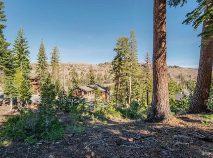 14 The Palisades Unit #4, Kirkwood, CA 95646 Photo