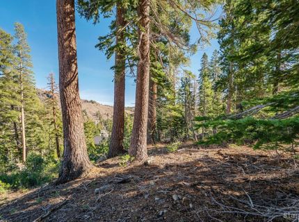 14 The Palisades Unit #4, Kirkwood, CA 95646 Photo