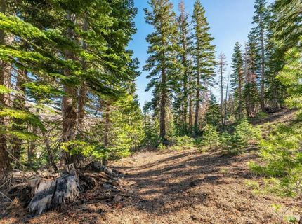14 The Palisades Unit #4, Kirkwood, CA 95646 Photo