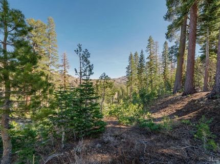 14 The Palisades Unit #4, Kirkwood, CA 95646 Photo