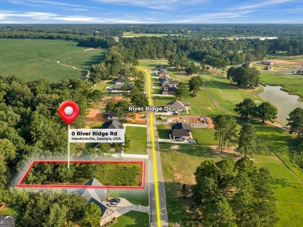 0 River Ridge Drive, Hawkinsville, GA 31036