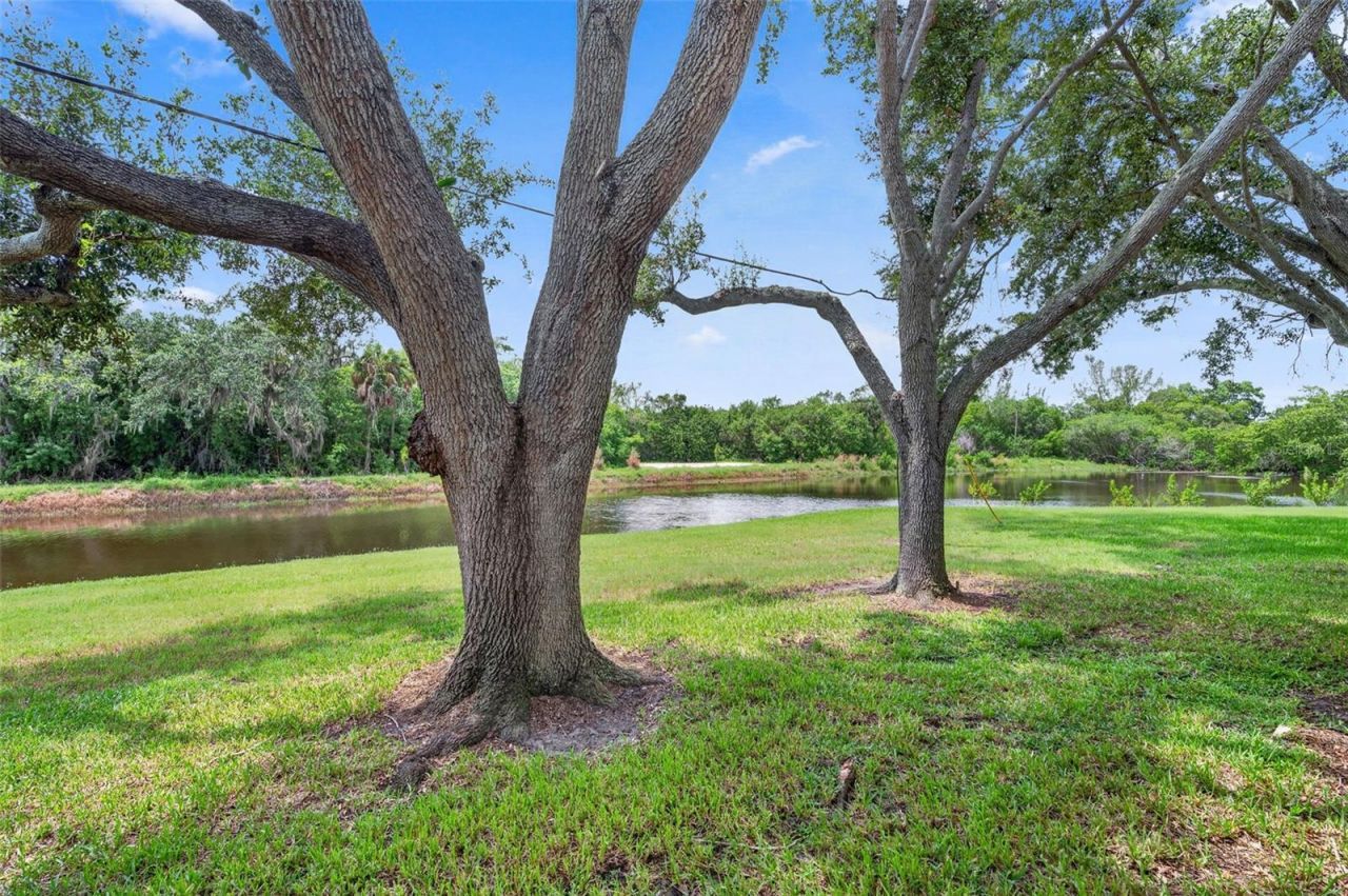 14922 Feather Cove Road, Clearwater, FL 33762 Photo