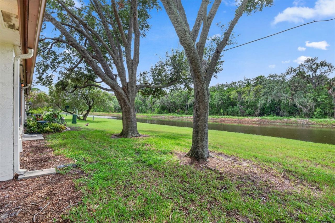 14922 Feather Cove Road, Clearwater, FL 33762 Photo