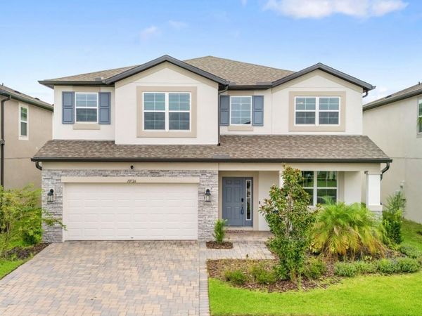 10726 NEW MORNING DRIVE, TAMPA, FL 33647