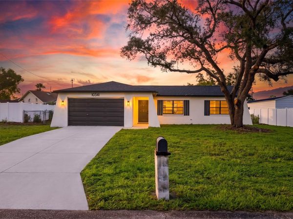 10341 CASPIAN STREET, SPRING HILL, FL 34608