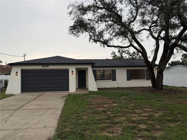 10341 CASPIAN STREET , SPRING HILL, FL 34608