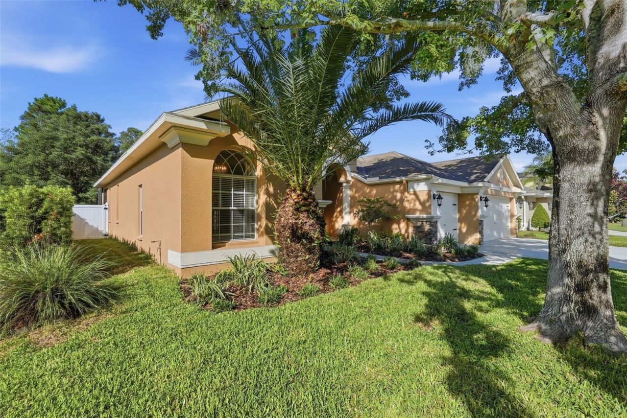 12903 Drakefield Drive , Spring Hill, FL 34610 Photo