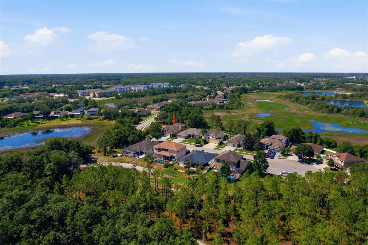 12903 Drakefield Drive , Spring Hill, FL 34610 Photo