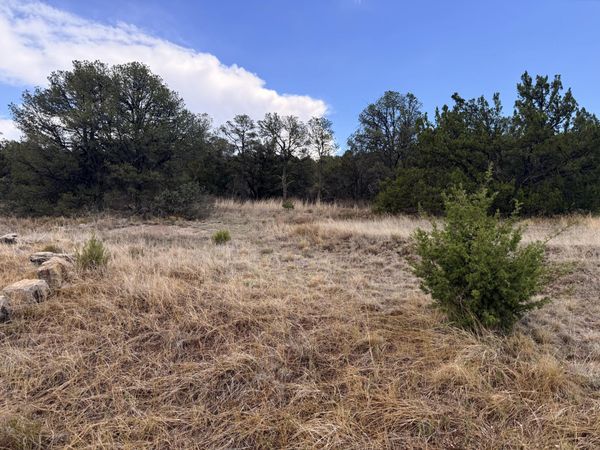 Lot 8 Horseshoe Bend Road , Edgewood, NM 87015