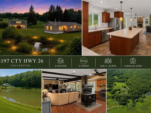 4197 County Highway 26 , Hamden, NY 13782