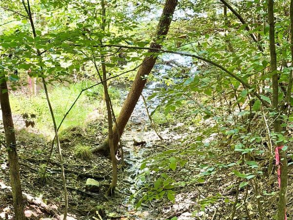 283 Rivercliff Drive, Stony Point, NC 28678