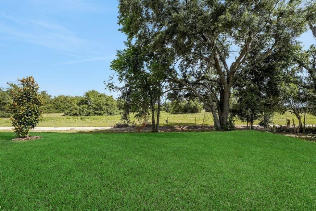 15075 Tea Tree Drive , Winter Garden, FL 34787 Photo