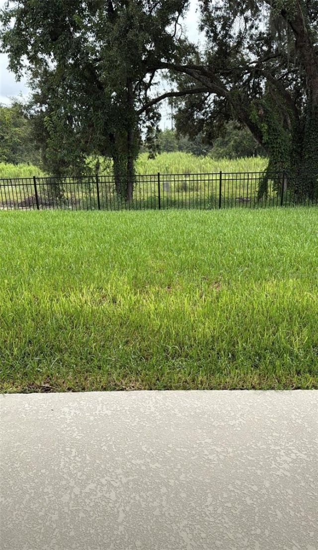 15075 Tea Tree Drive, Winter Garden, FL 34787 Photo