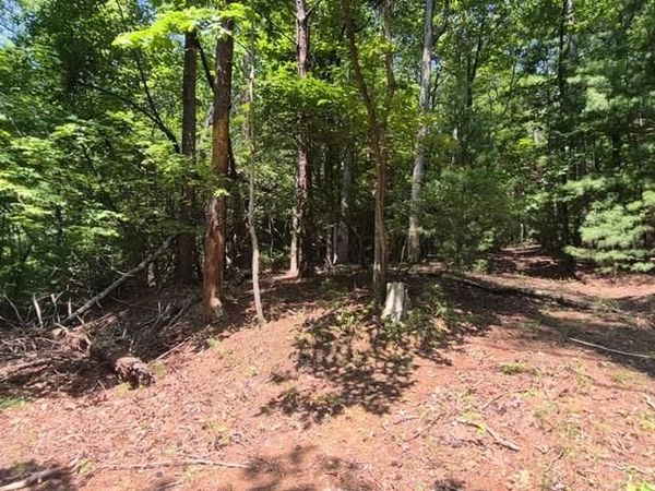 3.4 acre Peach Lane, Ellijay, GA 30536